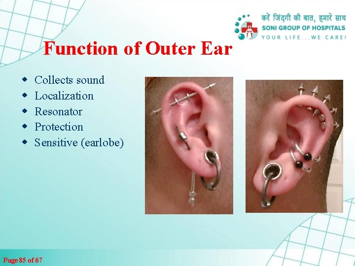 Function of Outer Ear w w w Collects sound Localization Resonator Protection Sensitive (earlobe)