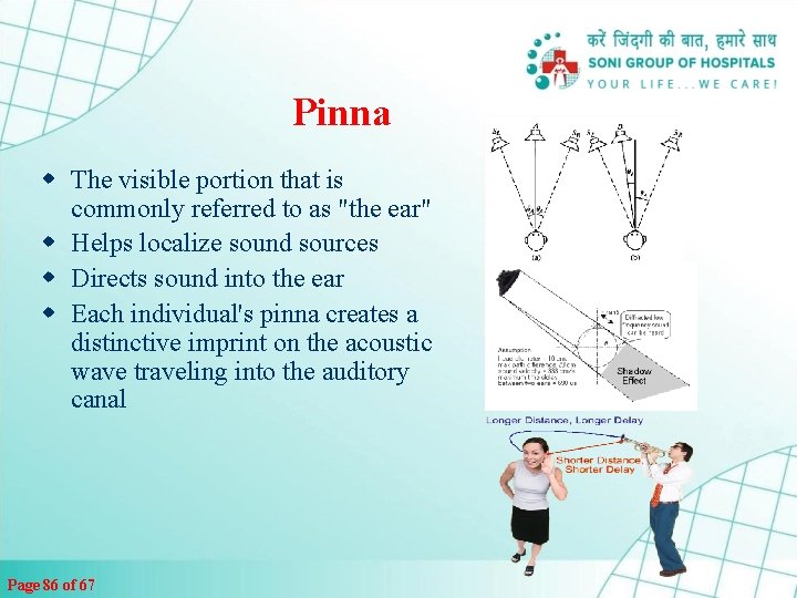 Pinna w The visible portion that is commonly referred to as "the ear" w