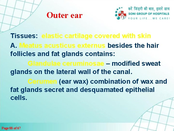 Outer ear Tissues: elastic cartilage covered with skin A. Meatus acusticus externus besides the