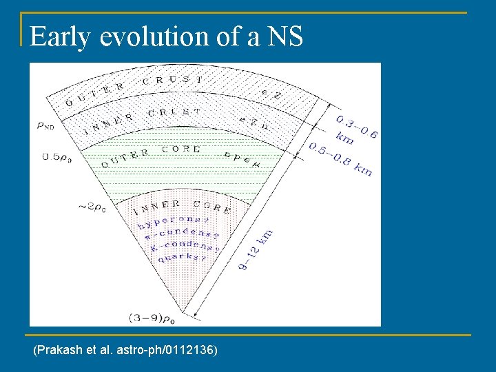 Early evolution of a NS (Prakash et al. astro-ph/0112136) 