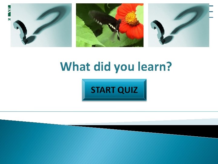 What did you learn? 