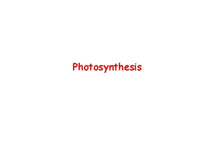 Photosynthesis 