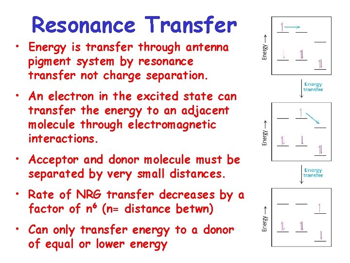Resonance Transfer • Energy is transfer through antenna pigment system by resonance transfer not