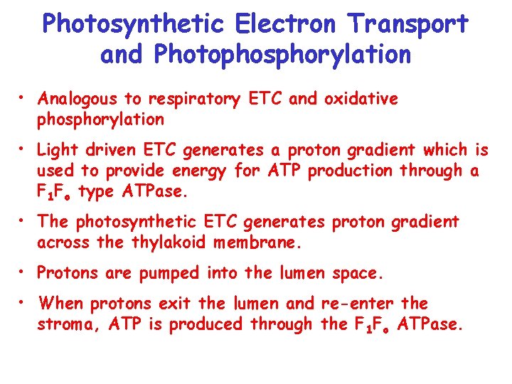 Photosynthetic Electron Transport and Photophosphorylation • Analogous to respiratory ETC and oxidative phosphorylation •