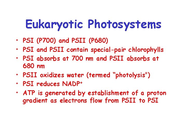Eukaryotic Photosystems • PSI (P 700) and PSII (P 680) • PSI and PSII