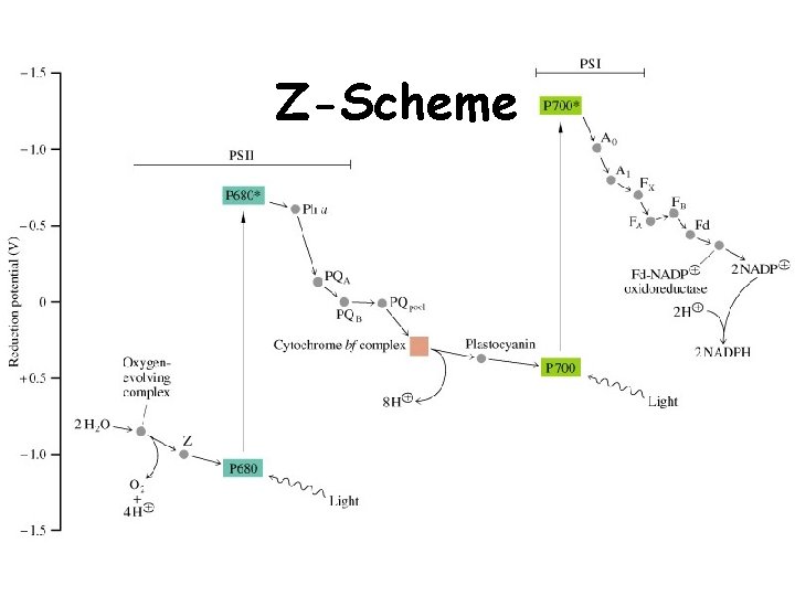 Z-Scheme 