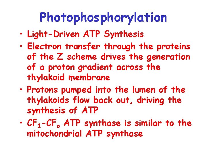 Photophosphorylation • Light-Driven ATP Synthesis • Electron transfer through the proteins of the Z