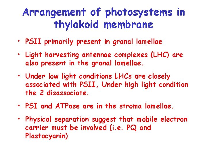 Arrangement of photosystems in thylakoid membrane • PSII primarily present in granal lamellae •