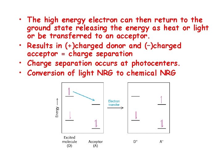  • The high energy electron can then return to the ground state releasing