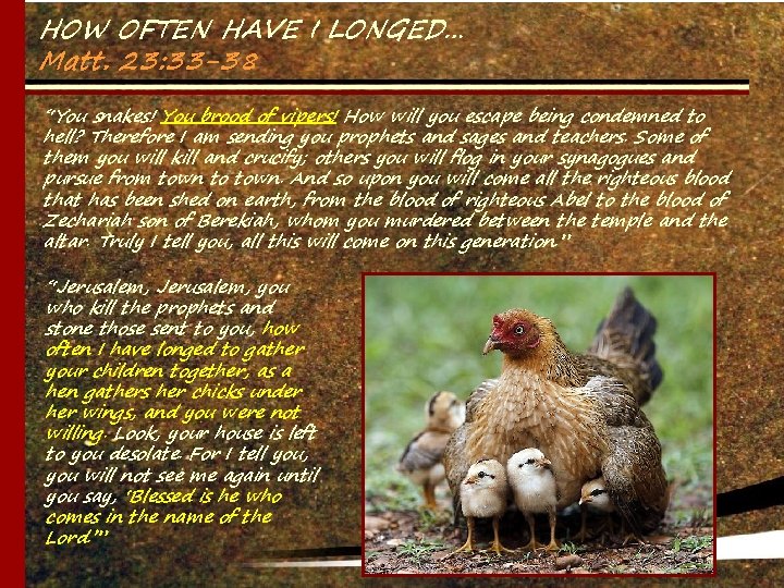 HOW OFTEN HAVE I LONGED… Matt. 23: 33 -38 “You snakes! You brood of