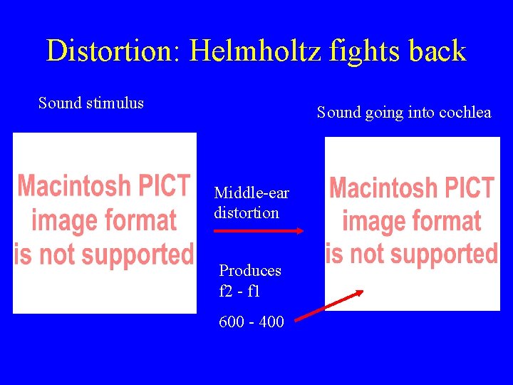 Distortion: Helmholtz fights back Sound stimulus Sound going into cochlea Middle-ear distortion Produces f