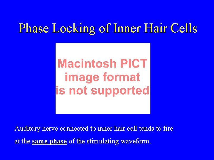 Phase Locking of Inner Hair Cells Auditory nerve connected to inner hair cell tends