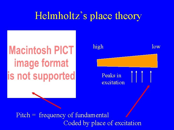 Helmholtz’s place theory high Peaks in excitation Pitch = frequency of fundamental Coded by
