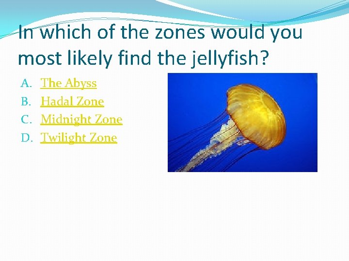 In which of the zones would you most likely find the jellyfish? A. B.