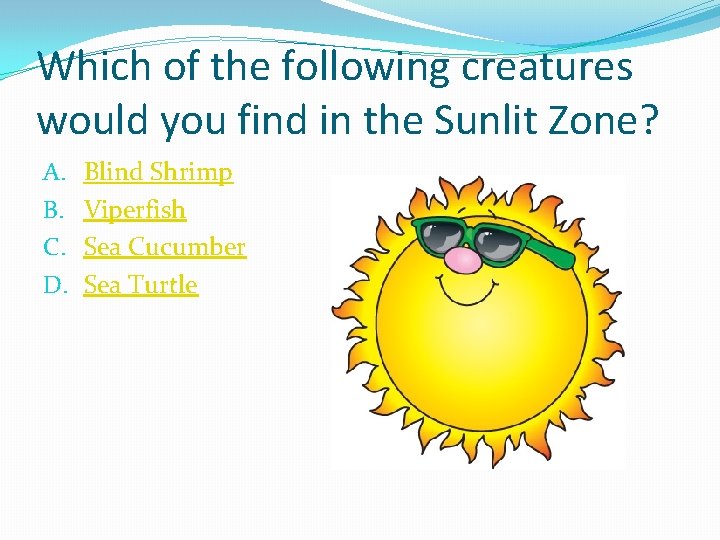 Which of the following creatures would you find in the Sunlit Zone? A. B.