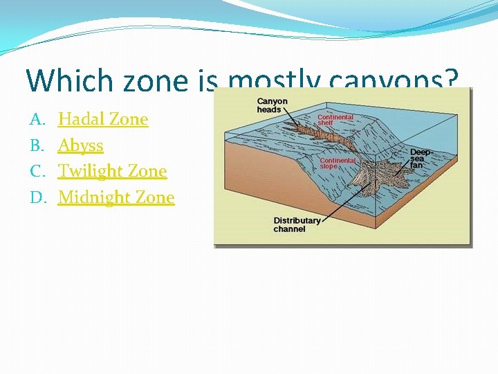 Which zone is mostly canyons? A. B. C. D. Hadal Zone Abyss Twilight Zone