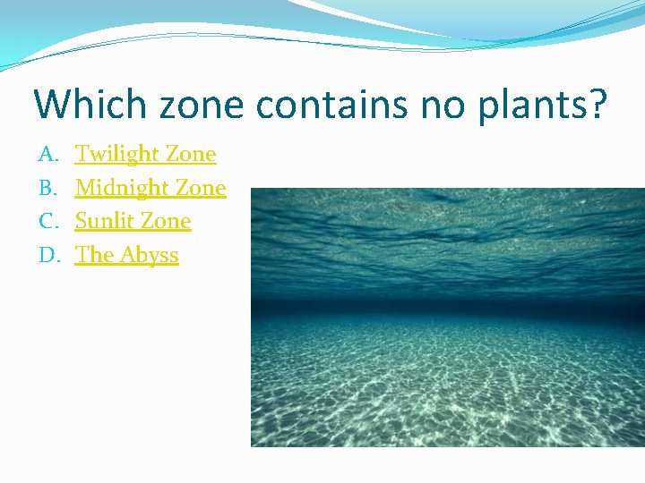 Which zone contains no plants? A. B. C. D. Twilight Zone Midnight Zone Sunlit