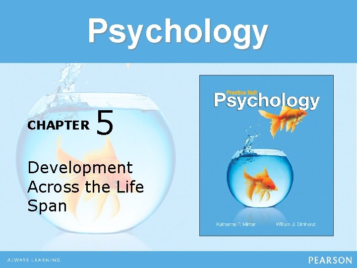 Psychology CHAPTER 5 Development Across the Life Span 