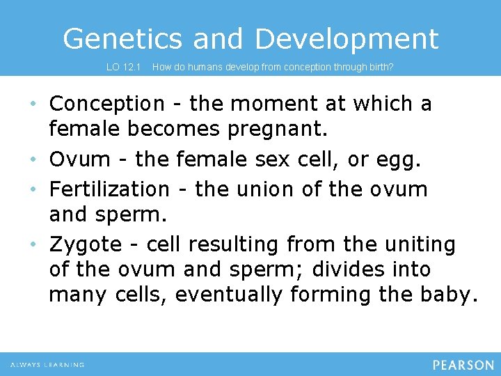 Genetics and Development LO 12. 1 How do humans develop from conception through birth?