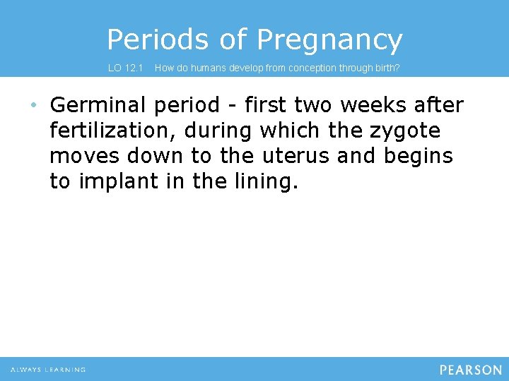 Periods of Pregnancy LO 12. 1 How do humans develop from conception through birth?