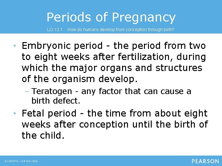 Periods of Pregnancy LO 12. 1 How do humans develop from conception through birth?