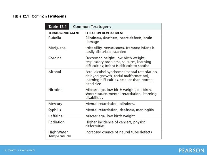 Table 12. 1 Common Teratogens 