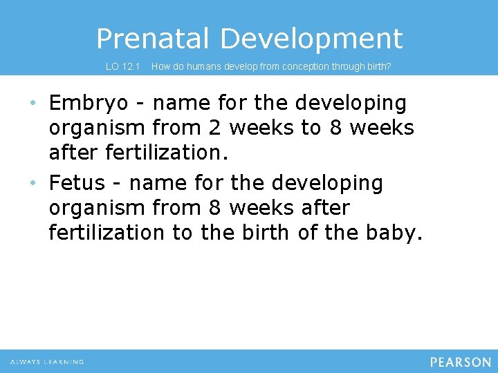 Prenatal Development LO 12. 1 How do humans develop from conception through birth? •