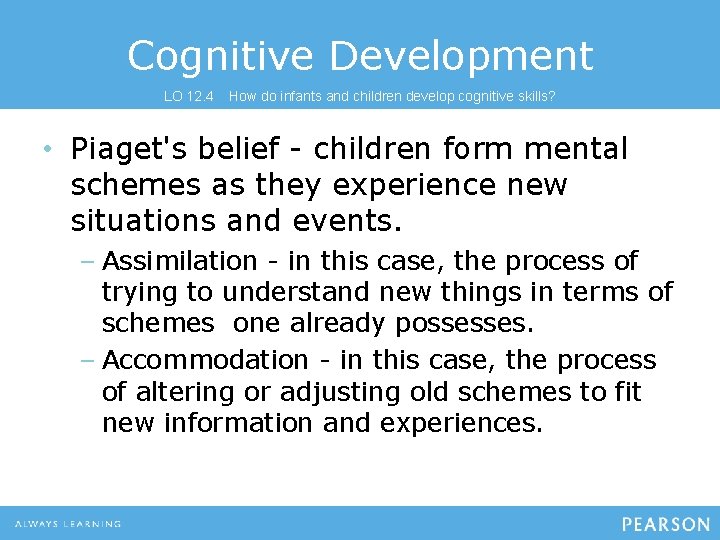 Cognitive Development LO 12. 4 How do infants and children develop cognitive skills? •