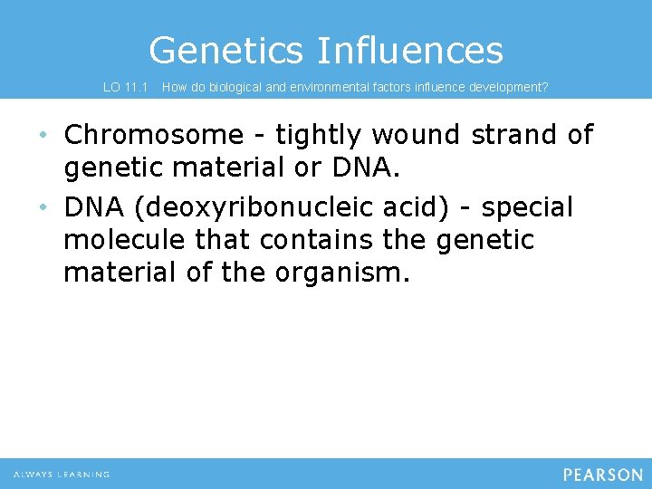 Genetics Influences LO 11. 1 How do biological and environmental factors influence development? •