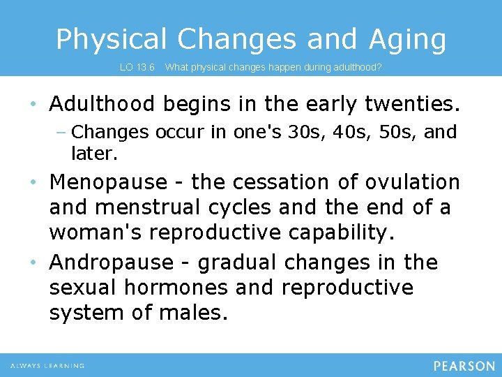 Physical Changes and Aging LO 13. 6 What physical changes happen during adulthood? •