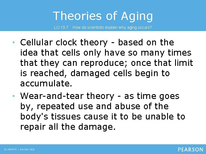 Theories of Aging LO 13. 7 How do scientists explain why aging occurs? •