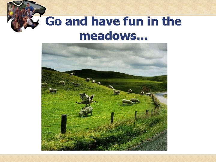 Go and have fun in the meadows. . . 