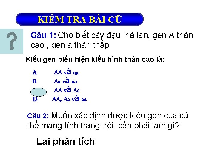 KIỂM TRA BÀI CŨ Câu 1: Cho biết cây đậu hà lan, gen A