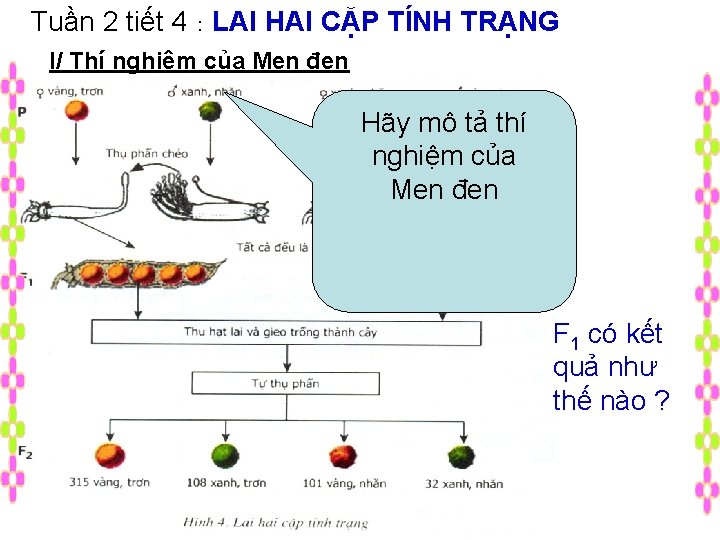 Tuần 2 tiết 4 : LAI HAI CẶP TÍNH TRẠNG I/ Thí nghiệm của