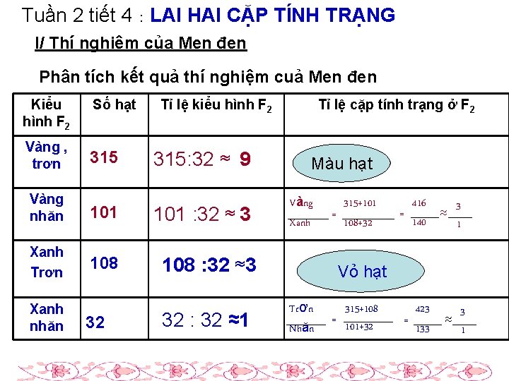 Tuần 2 tiết 4 : LAI HAI CẶP TÍNH TRẠNG I/ Thí nghiệm của