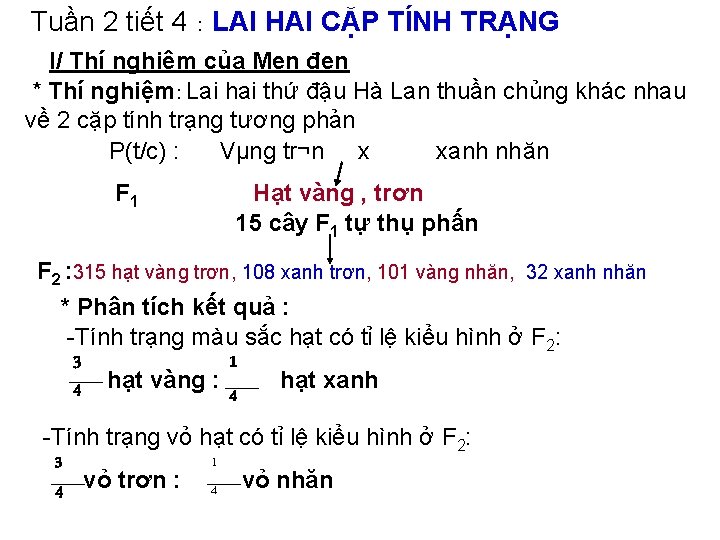 Tuần 2 tiết 4 : LAI HAI CẶP TÍNH TRẠNG I/ Thí nghiệm của