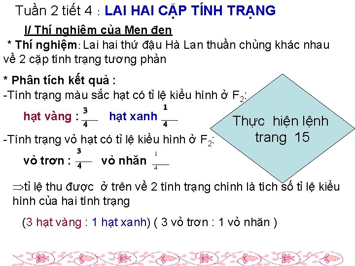 Tuần 2 tiết 4 : LAI HAI CẶP TÍNH TRẠNG I/ Thí nghiệm của