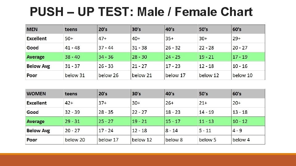 PUSH – UP TEST: Male / Female Chart 