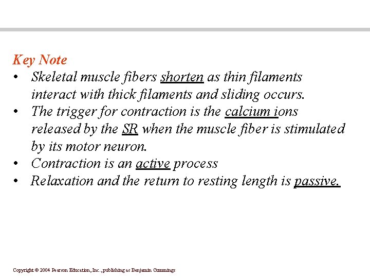 Key Note • Skeletal muscle fibers shorten as thin filaments interact with thick filaments