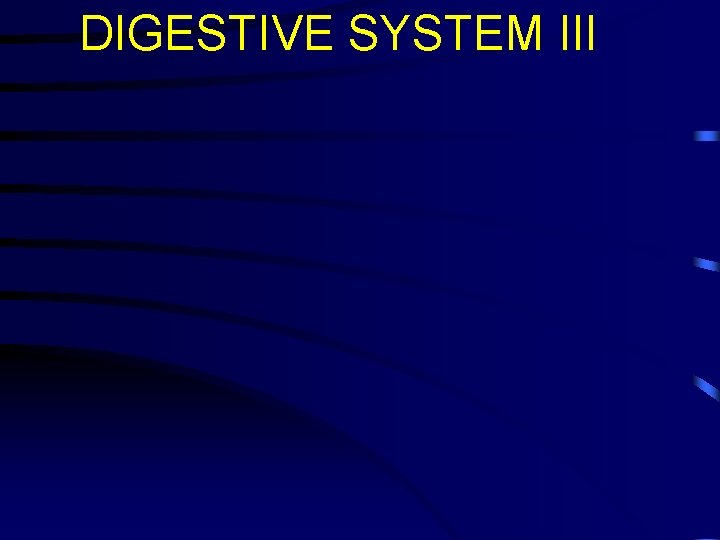 DIGESTIVE SYSTEM III 