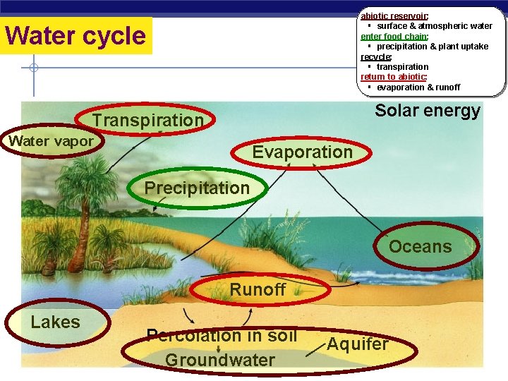abiotic reservoir: § surface & atmospheric water enter food chain: § precipitation & plant