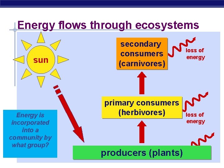 Energy flows through ecosystems sun Energy is incorporated into a community by what group?