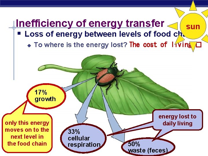 Inefficiency of energy transfer § sun Loss of energy between levels of food chain