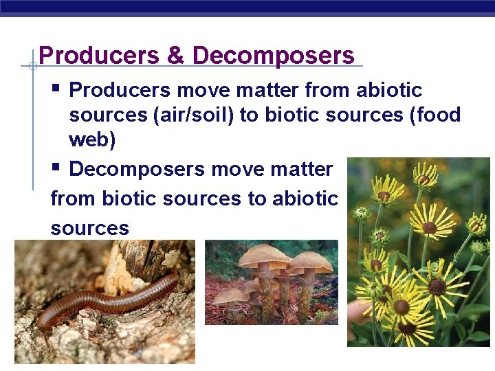 Producers & Decomposers § Producers move matter from abiotic sources (air/soil) to biotic sources
