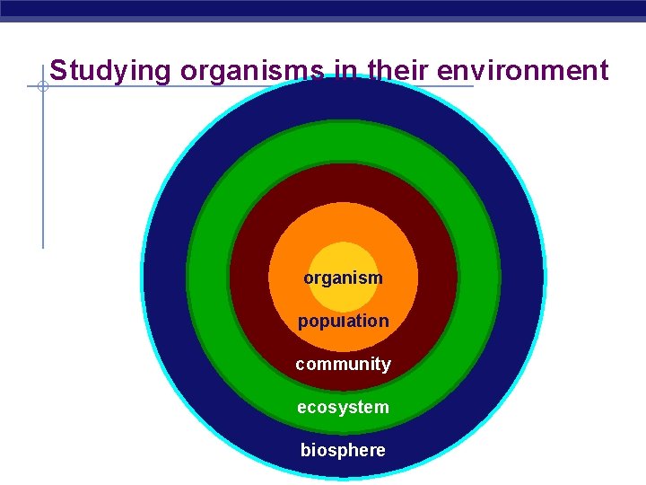 Studying organisms in their environment organism population community ecosystem biosphere 