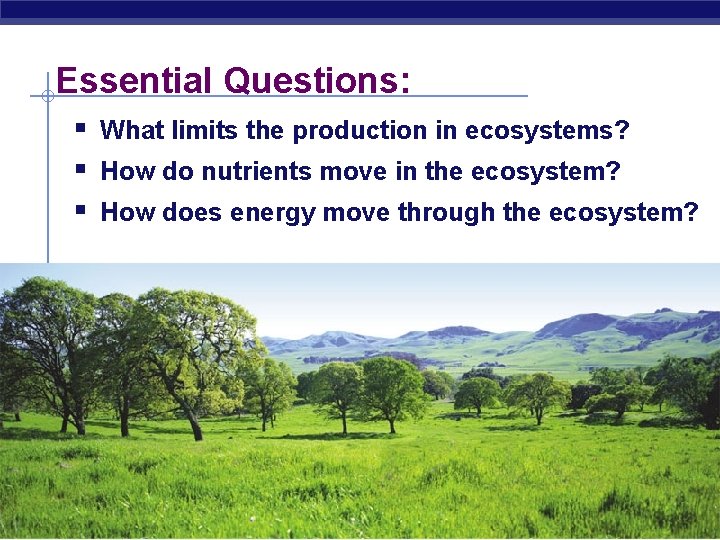 Essential Questions: § What limits the production in ecosystems? § How do nutrients move