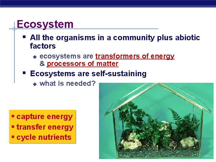 Ecosystem § All the organisms in a community plus abiotic factors u ecosystems are