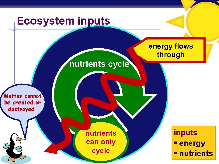 Ecosystem inputs constant energy flows input of through energy nutrients cycle Matter cannot Don’t