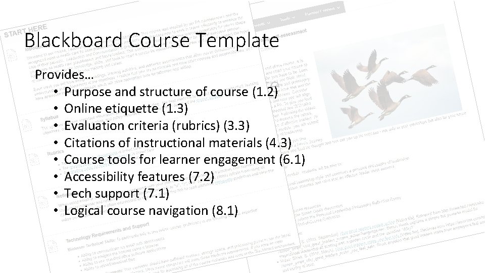 Blackboard Course Template Provides… Blackboard Course Template • Purpose and structure of course (1.