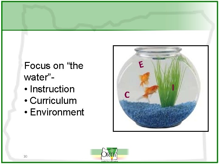 Focus on “the water” • Instruction • Curriculum • Environment 30 E C I